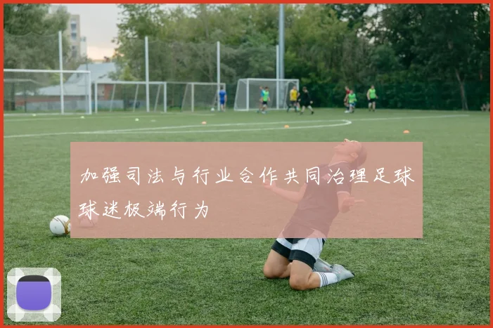 加强司法与行业合作共同治理足球球迷极端行为